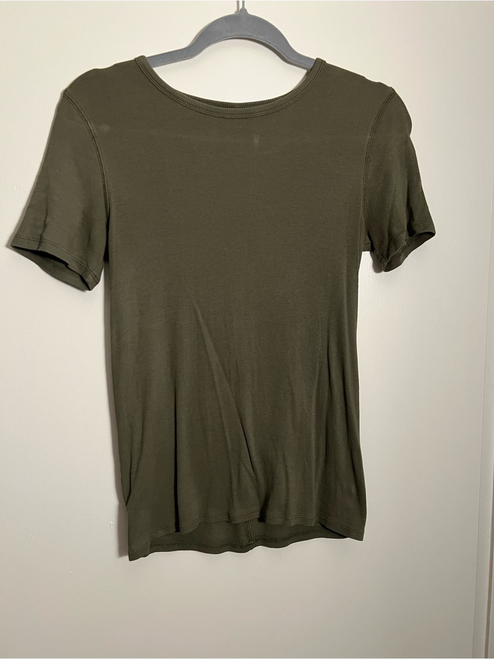 Everlane Luxe Rib Crew Tee in Green